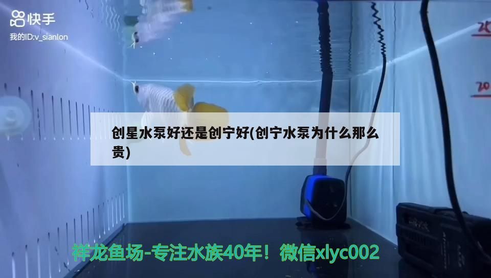 水族器材 創星水泵好還是創寧好(創寧水泵為什么那么貴) 創寧水族 創星水泵好還是創寧好(創寧水泵為什么那么貴) 創星水泵好還是創寧好(創寧水泵為什么那么貴) 創寧水族