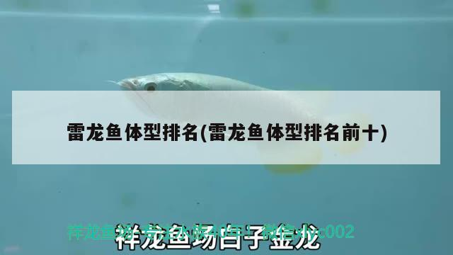 清豐哪里有賣魚缸的店（河南干辣椒產地哪里最出名） 清豐哪里有賣魚缸的店（河南干辣椒產地哪里最出名） 黃金貓魚百科 第2張