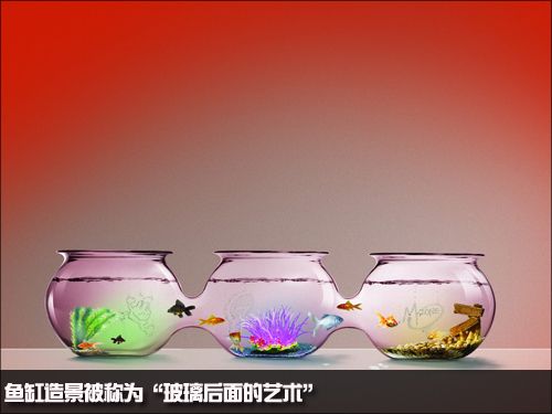 莒縣花卉市場魚缸批發（莒縣花卉市場魚缸批發電話）
