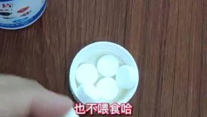 魟魚內(nèi)寄用什么藥：魟魚內(nèi)寄的治療方法