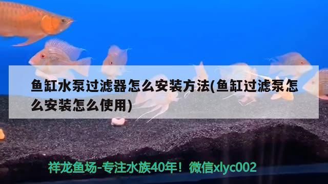 六盤水魚缸維修店電話多少，六盤水水族