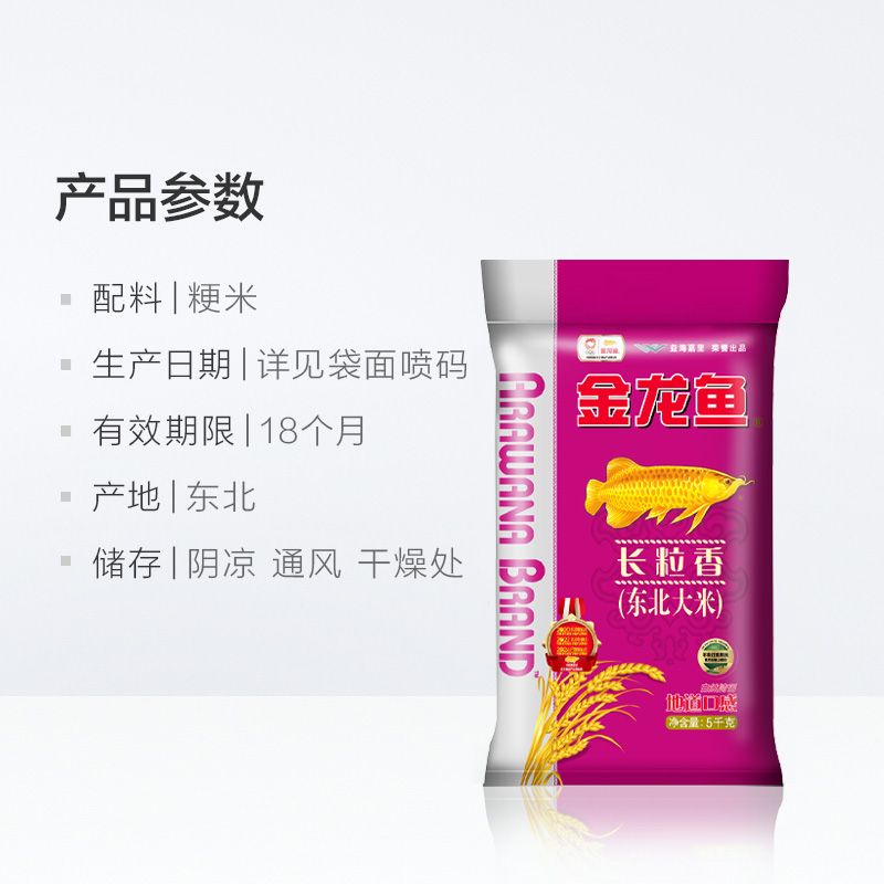 小型魚 南美鰭龍魚能長多大(小鰭魚龍) 黃金貓魚百科 南美鰭龍魚能長多大(小鰭魚龍) 南美鰭龍魚能長多大(小鰭魚龍) 黃金貓魚百科
