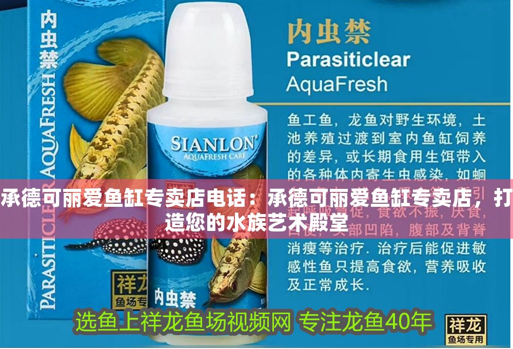 承德可麗愛魚缸專賣店電話：承德可麗愛魚缸專賣店，打造您的水族藝術殿堂