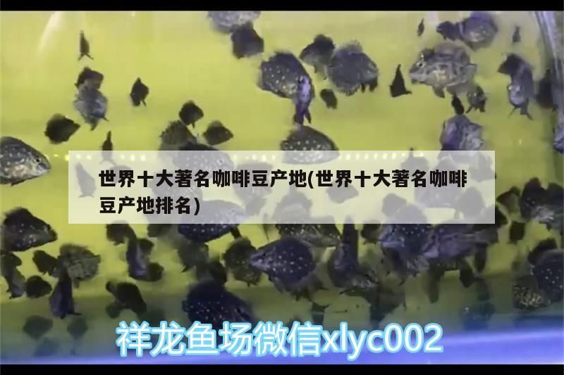 世界十大著名咖啡豆產地(世界十大著名咖啡豆產地排名)
