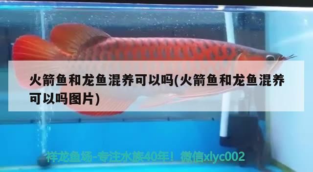 濰坊魚缸廠聯(lián)系方式譚，濰坊哪里有魚缸廠聯(lián)系方式譚