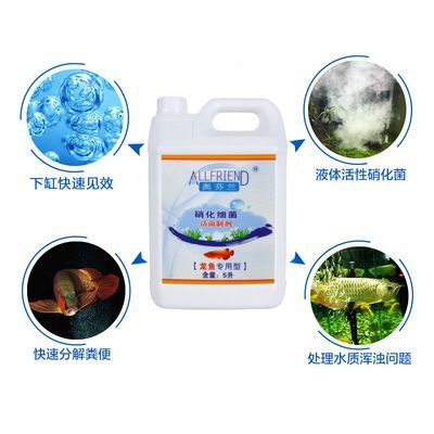 金龍魚用什么硝化細菌vs祥龍魚場：探討金龍魚與祥龍魚場的硝化細菌使用 金龍魚用什么硝化細菌vs祥龍魚場：探討金龍魚與祥龍魚場的硝化細菌使用 vs祥龍魚場 第3張