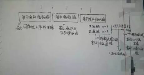 金龍魚用什么硝化細菌vs祥龍魚場：探討金龍魚與祥龍魚場的硝化細菌使用 金龍魚用什么硝化細菌vs祥龍魚場：探討金龍魚與祥龍魚場的硝化細菌使用 vs祥龍魚場 第4張