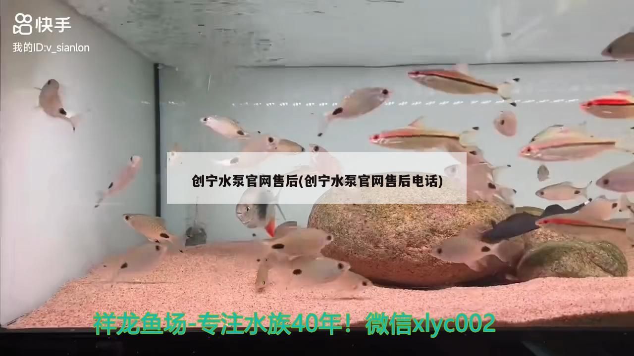 魚缸用增氧泵價格是多少:魚缸增氧機-xtrac增氧機-xtrac增氧機 創(chuàng)寧水泵官網售后(創(chuàng)寧水泵官網售后電話) 創(chuàng)寧水族 創(chuàng)寧水泵官網售后(創(chuàng)寧水泵官網售后電話) 創(chuàng)寧水泵官網售后(創(chuàng)寧水泵官網售后電話) 創(chuàng)寧水族