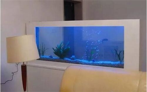 魚缸用增氧泵價格是多少:魚缸增氧機-xtrac增氧機-xtrac增氧機 龍魚眼睛大怎么回事啊(龍魚眼睛大怎么回事啊圖片) 可麗愛魚缸 龍魚眼睛大怎么回事啊(龍魚眼睛大怎么回事啊圖片) 龍魚眼睛大怎么回事啊(龍魚眼睛大怎么回事啊圖片) 可麗愛魚缸