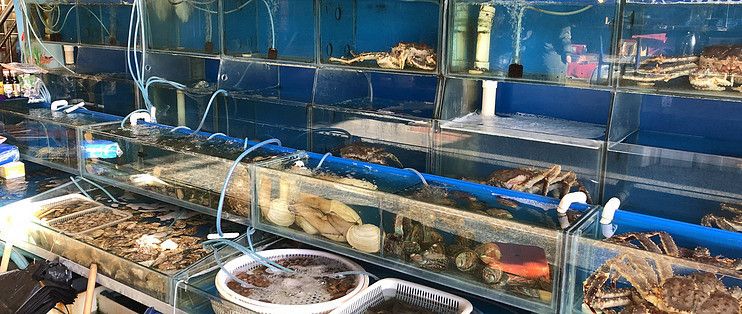 臺灣水族批發市場地址電話是多少（臺灣水族批發市場地址電話是多少啊）
