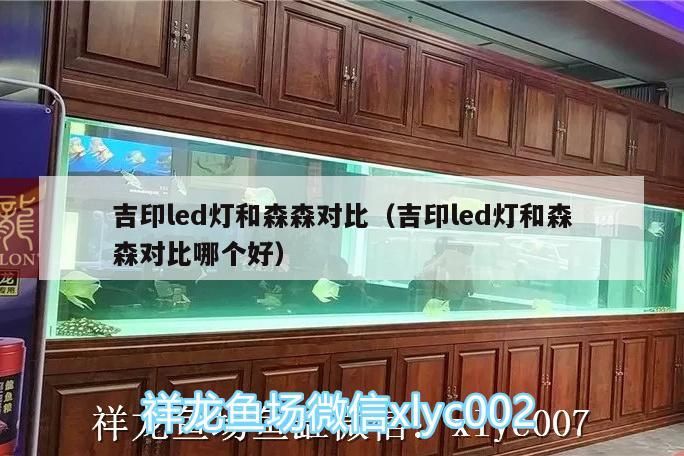 吉印led燈和森森對比（吉印led燈和森森對比哪個好） 吉印led燈和森森對比（吉印led燈和森森對比哪個好） 吉印水族 第2張