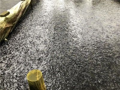 屏保圖片，數(shù)字時(shí)代的視覺休憩與個(gè)性表達(dá)，屏保圖片，數(shù)字時(shí)代的視覺休憩與個(gè)性表達(dá) 屏保圖片，數(shù)字時(shí)代的視覺休憩與個(gè)性表達(dá)，屏保圖片，數(shù)字時(shí)代的視覺休憩與個(gè)性表達(dá) 龍魚百科 第2張