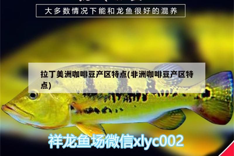 拉丁美洲咖啡豆產區特點(非洲咖啡豆產區特點) 拉丁美洲咖啡豆產區特點(非洲咖啡豆產區特點) 馬來西亞咖啡