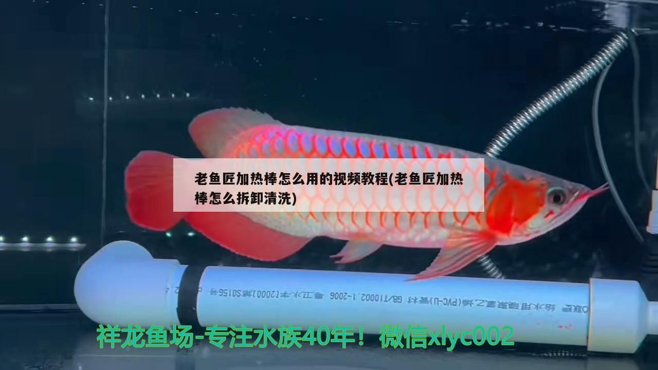 老魚匠加熱棒怎么用的視頻教程(老魚匠加熱棒怎么拆卸清洗) 老魚匠加熱棒怎么用的視頻教程(老魚匠加熱棒怎么拆卸清洗) 老魚匠