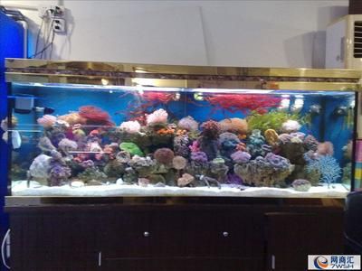 魚缸用增氧泵價格是多少:魚缸增氧機-xtrac增氧機-xtrac增氧機 創寧水泵官方網站電話號碼(創寧水泵官方網站電話號碼查詢) 創寧水族 創寧水泵官方網站電話號碼(創寧水泵官方網站電話號碼查詢) 創寧水泵官方網站電話號碼(創寧水泵官方網站電話號碼查詢) 創寧水族