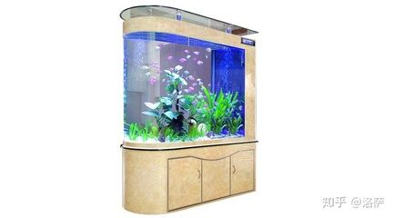 60l魚缸多大:60升的魚缸尺寸可以根據不同的用途和設計進行調整 魚缸百科 第1張 60l魚缸多大:60升的魚缸尺寸可以根據不同的用途和設計進行調整 60l魚缸多大:60升的魚缸尺寸可以根據不同的用途和設計進行調整 魚缸百科 第1張