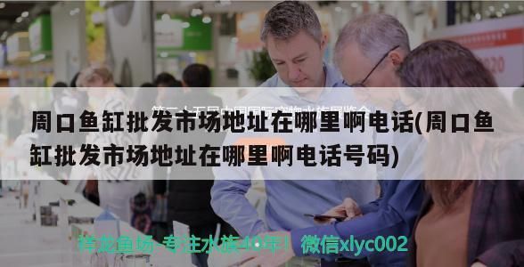 <strong><mark>周口</mark></strong>魚缸批發市場地址在哪里啊電話(<strong><mark>周口</mark></strong>魚缸批發市場地址在哪里啊電話號碼)