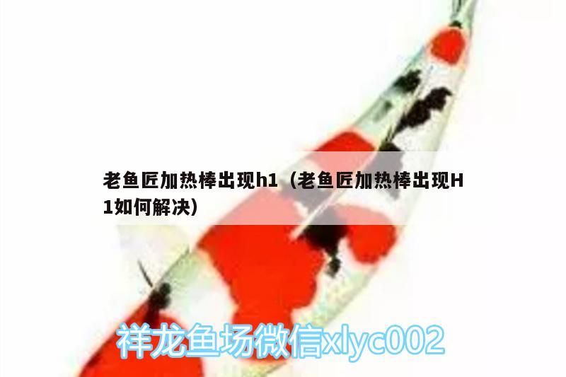 老魚匠加熱棒出現h1（老魚匠加熱棒出現H1如何解決）
