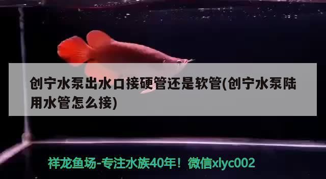 創寧水泵出水口接硬管還是軟管(創寧水泵陸用水管怎么接)