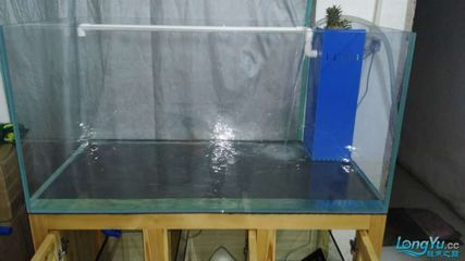 60的魚缸有必要拉筋嗎：\"魚缸拉筋的注意事項在拉筋的作用和方法