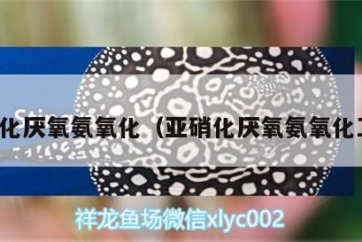 魚缸用增氧泵價格是多少:魚缸增氧機-xtrac增氧機-xtrac增氧機 亞硝化厭氧氨氧化(亞硝化厭氧氨氧化工藝) 金龍魚百科 亞硝化厭氧氨氧化(亞硝化厭氧氨氧化工藝) 亞硝化厭氧氨氧化(亞硝化厭氧氨氧化工藝) 金龍魚百科
