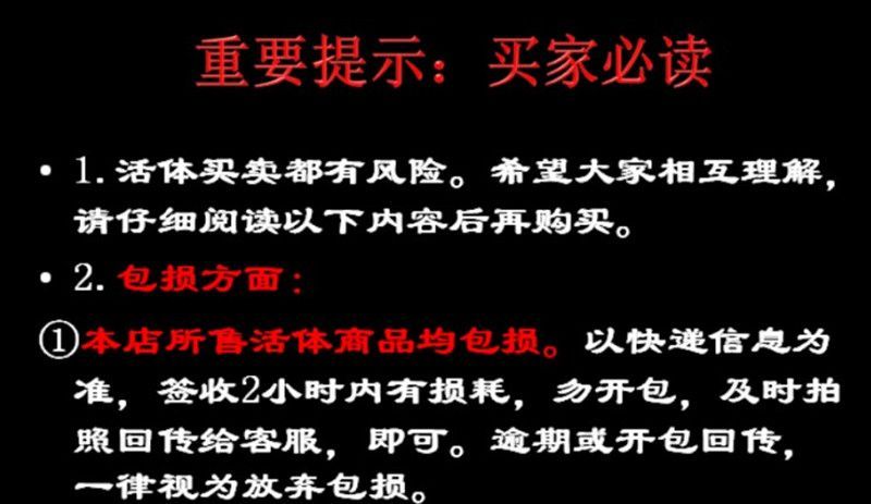 寶雞可麗愛魚缸專賣店在哪：寶雞可麗愛魚缸專賣店，打造家居水族藝術的完美選擇