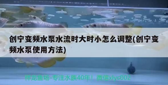 創寧變頻水泵水流時大時小怎么調整(創寧變頻水泵使用方法)