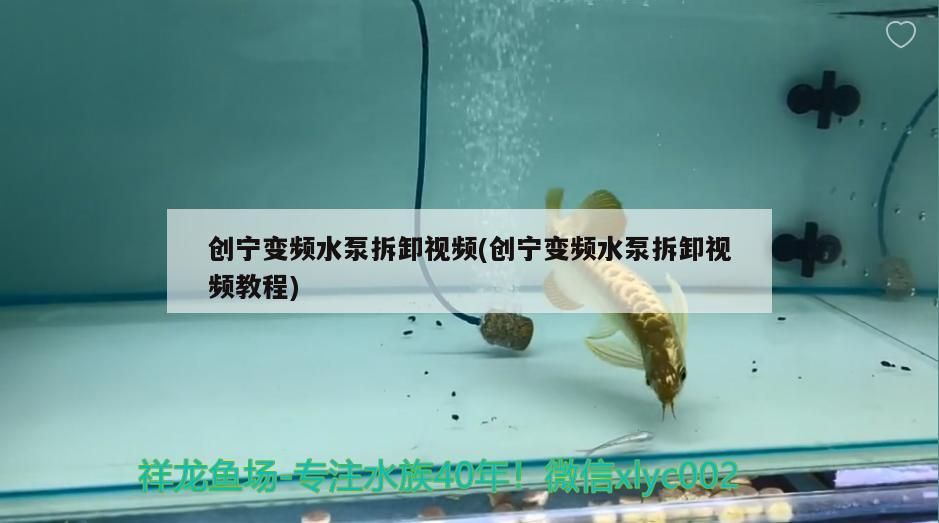 創寧變頻水泵拆卸視頻(創寧變頻水泵拆卸視頻教程)