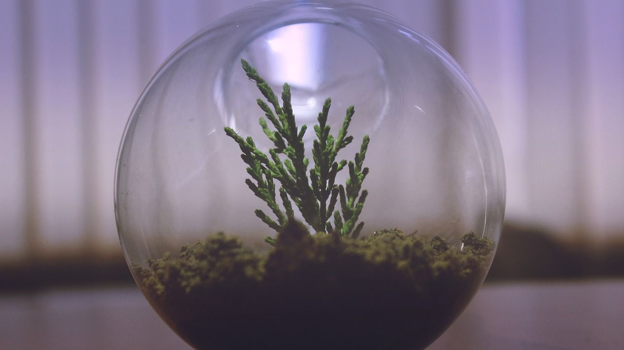 下過濾魚缸換水的正確方法圖片(下過濾魚缸換水的正確方法圖片視頻)