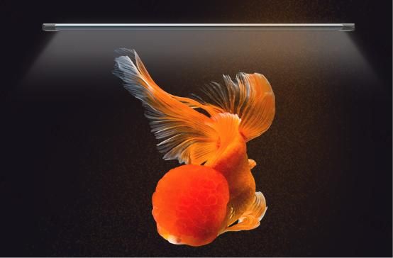 吉印i7plus金魚專業燈 吉印i7plus金魚專業燈 吉印水族