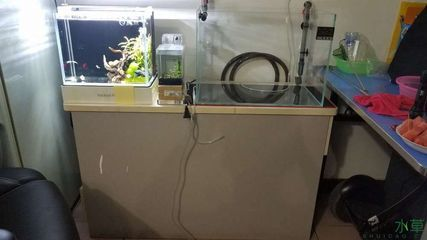 60的魚缸用多大的過濾桶：60升的魚缸應該如何選擇過濾桶 60的魚缸用多大的過濾桶：60升的魚缸應該如何選擇過濾桶 魚缸百科 第2張