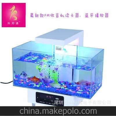 超白金魚缸視頻播放器免費（bilibili和其他電商平臺上如何選擇超白金魚缸的視頻）