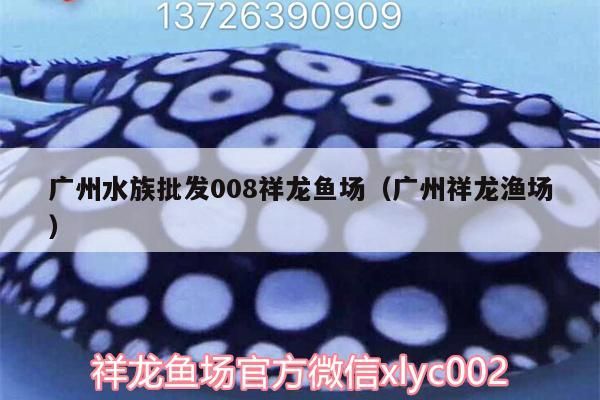 廣州水族批發(fā)008祥龍魚場（廣州祥龍漁場） 廣州水族批發(fā)008祥龍魚場（廣州祥龍漁場） vs祥龍魚場 第1張