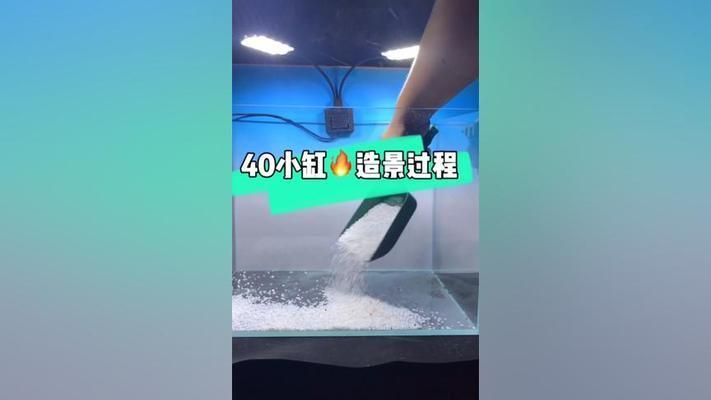 40厘米魚缸造景教學視頻:40厘米魚缸造景教學視頻教學視頻教學視頻教程 魚缸百科 第1張 40厘米魚缸造景教學視頻:40厘米魚缸造景教學視頻教學視頻教學視頻教程 40厘米魚缸造景教學視頻:40厘米魚缸造景教學視頻教學視頻教學視頻教程 魚缸百科 第1張