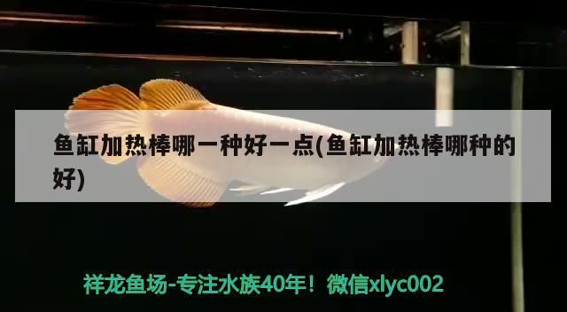 魚缸加熱棒哪一種好一點(魚缸加熱棒哪種的好)