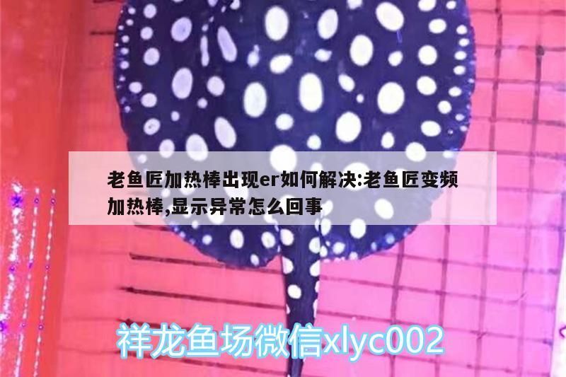 老魚匠加熱棒出現(xiàn)er如何解決:老魚匠變頻加熱棒,顯示異常怎么回事 老魚匠加熱棒出現(xiàn)er如何解決:老魚匠變頻加熱棒,顯示異常怎么回事 老魚匠