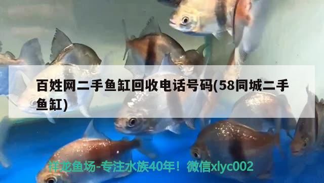 百姓網二手魚缸回收電話號碼(58同城二手魚缸)