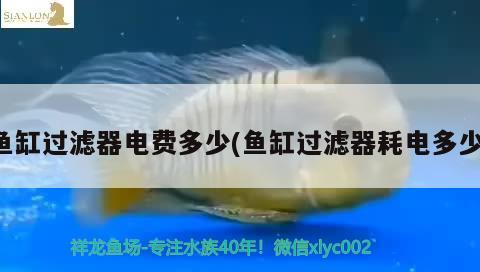 魚缸過濾器電費多少(魚缸過濾器耗電多少)