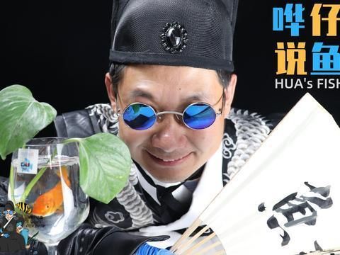 龍魚干蝦有營養(yǎng)嗎 伊罕250功率(伊罕250多少瓦) 伊罕水族 伊罕250功率(伊罕250多少瓦) 伊罕250功率(伊罕250多少瓦) 伊罕水族