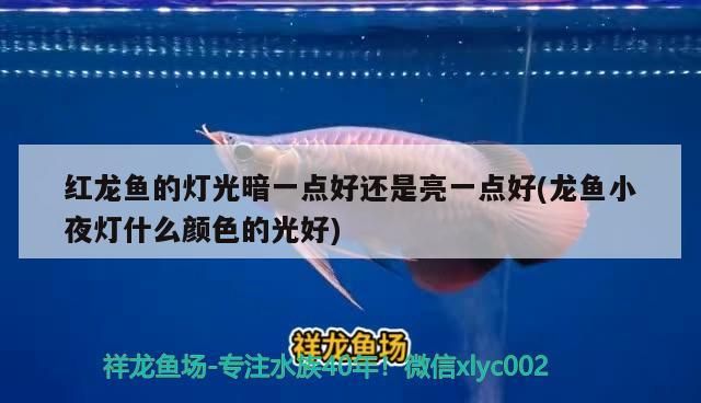 菏澤魚缸廠家電話號碼多少（裝修的木工板回收） 菏澤魚缸廠家電話號碼多少（裝修的木工板回收） 九鼎魚缸 第1張