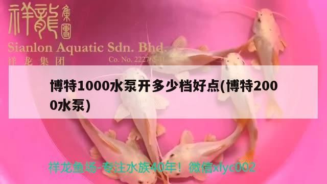 魚缸用增氧泵價格是多少:魚缸增氧機-xtrac增氧機-xtrac增氧機 博特1000水泵開多少檔好點(博特2000水泵) 博特水族 博特1000水泵開多少檔好點(博特2000水泵) 博特1000水泵開多少檔好點(博特2000水泵) 博特水族