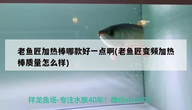 老魚(yú)匠加熱棒哪款好一點(diǎn)啊(老魚(yú)匠變頻加熱棒質(zhì)量怎么樣)