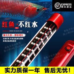 紅龍魚比賽用的神燈是什么燈：紅龍魚比賽用的神燈是什么