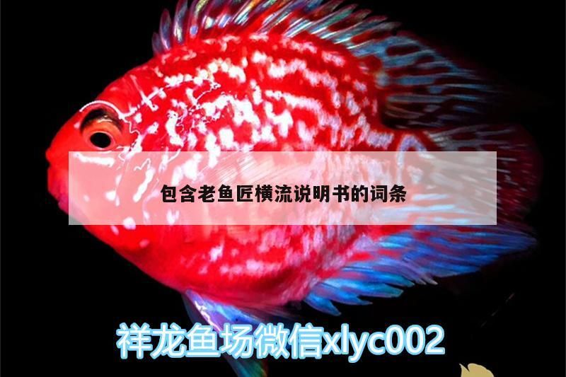 包含老魚匠橫流說明書的詞條