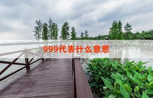 上過濾魚缸造景（魚缸下過濾造景）