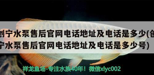 創寧水泵售后官網電話地址及電話是多少(創寧水泵售后官網電話地址及電話是多少號)