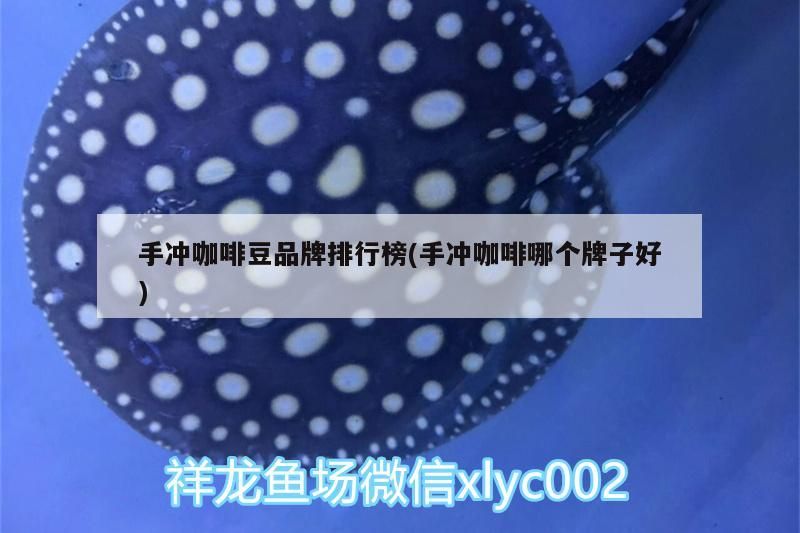手沖咖啡豆品牌排行榜(手沖咖啡哪個牌子好)