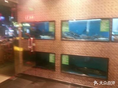魚樂匯魚缸，魚樂匯魚缸養護技巧 魚樂匯魚缸，魚樂匯魚缸養護技巧 魚缸百科 第3張