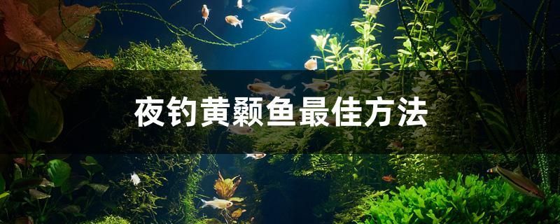 深圳市羅湖區(qū)家之福建材市場海峰水源店 全國水族館企業(yè)名錄 第2張 深圳市羅湖區(qū)家之福建材市場海峰水源店 深圳市羅湖區(qū)家之福建材市場海峰水源店 全國水族館企業(yè)名錄 第2張