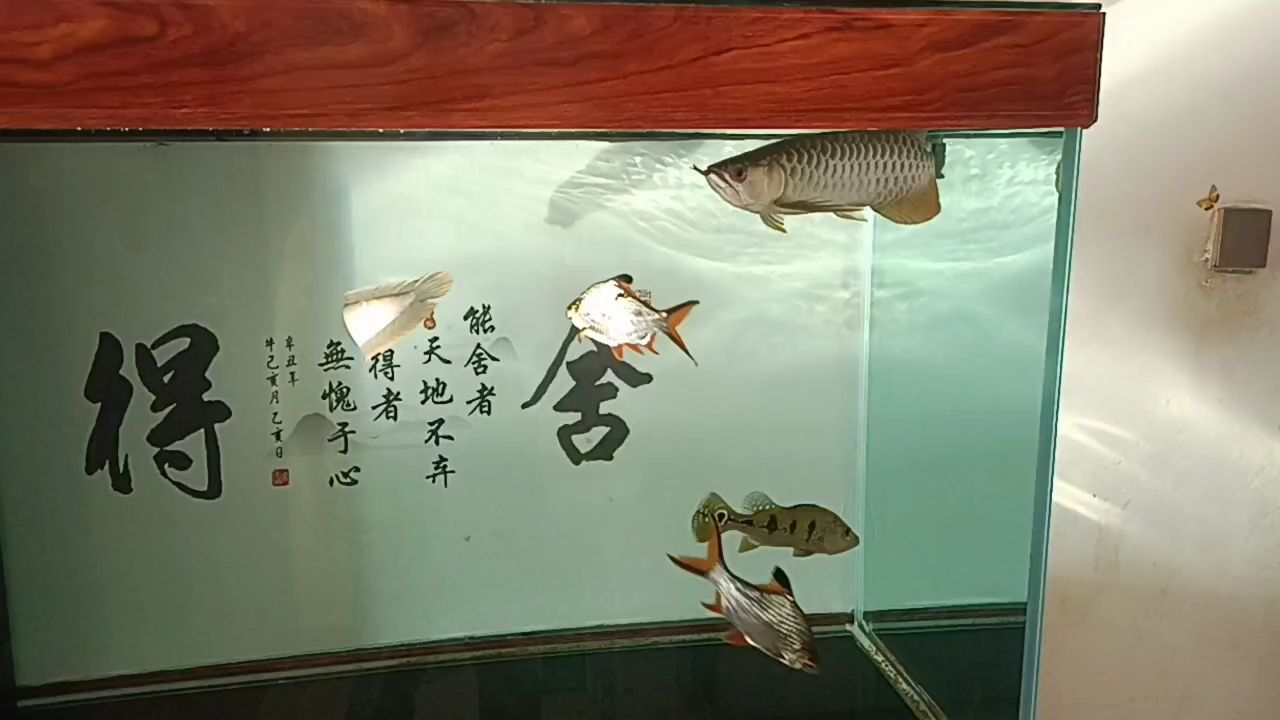 小金到家75天